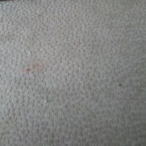 Meet your Posher, Antonio